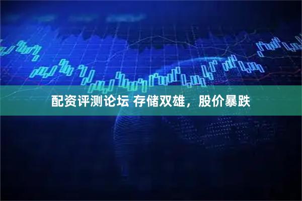 配资评测论坛 存储双雄，股价暴跌